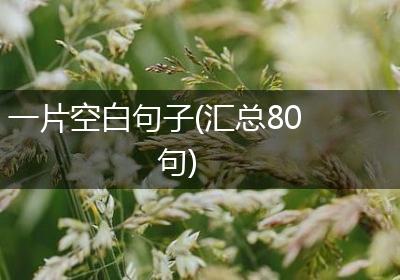一片空白句子(汇总80句)