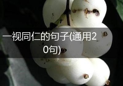 一视同仁的句子(通用20句)