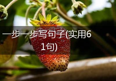 一步一步写句子(实用61句)