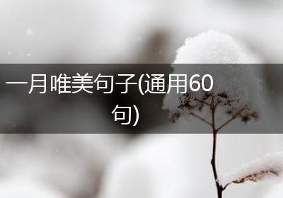 一月唯美句子(通用60句)