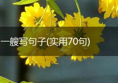 一艘写句子(实用70句)