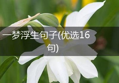 一梦浮生句子(优选16句)