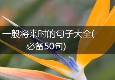 一般将来时的句子大全(必备50句)