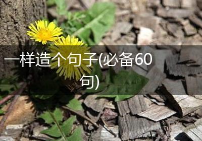 一样造个句子(必备60句)