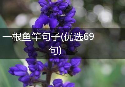 一根鱼竿句子(优选69句)