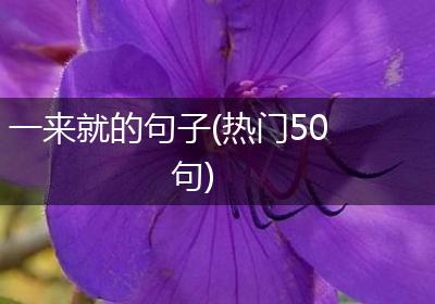 一来就的句子(热门50句)