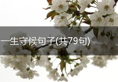 一生守候句子(共79句)