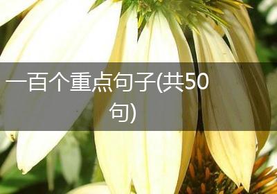 一百个重点句子(共50句)