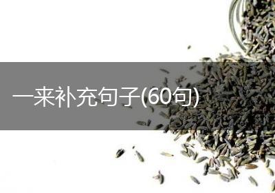 一来补充句子(60句)