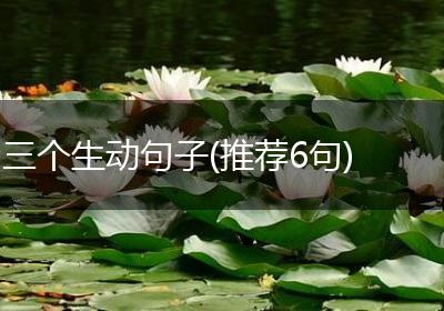 三个生动句子(推荐6句)