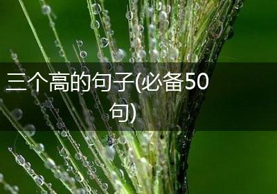 三个高的句子(必备50句)