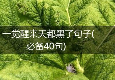 一觉醒来天都黑了句子(必备40句)