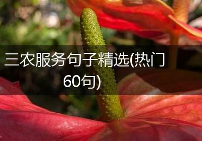 三农服务句子精选(热门60句)