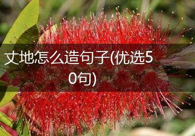 丈地怎么造句子(优选50句)