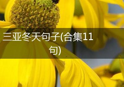 三亚冬天句子(合集11句)