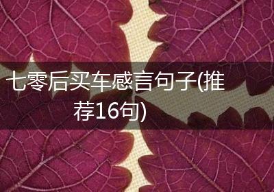 七零后买车感言句子(推荐16句)