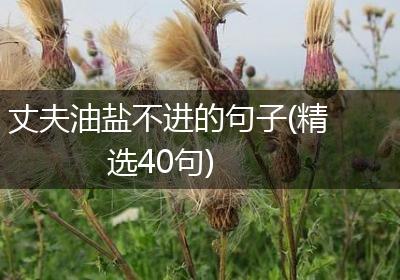 丈夫油盐不进的句子(精选40句)