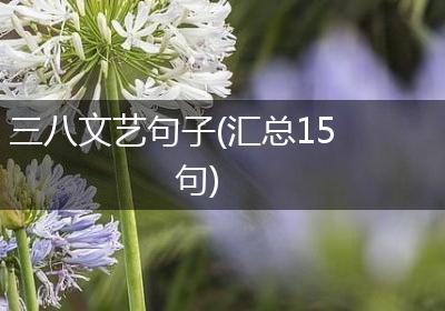 三八文艺句子(汇总15句)