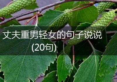丈夫重男轻女的句子说说(20句)
