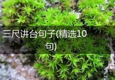 三尺讲台句子(精选10句)