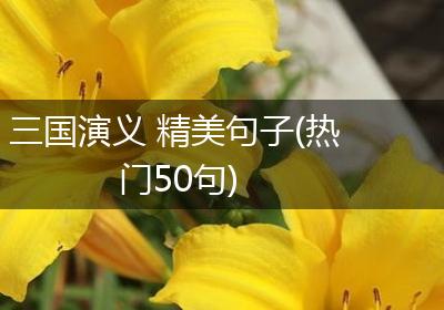 三国演义 精美句子(热门50句)