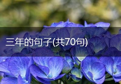 三年的句子(共70句)