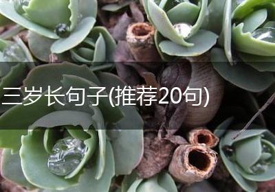 三岁长句子(推荐20句)