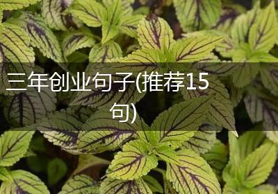 三年创业句子(推荐15句)