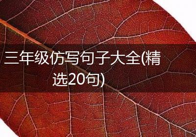 三年级仿写句子大全(精选20句)