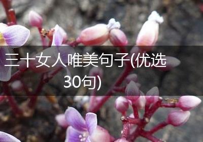 三十女人唯美句子(优选30句)