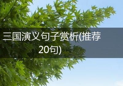 三国演义句子赏析(推荐20句)