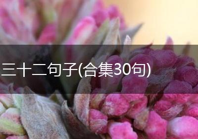 三十二句子(合集30句)