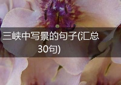 三峡中写景的句子(汇总30句)