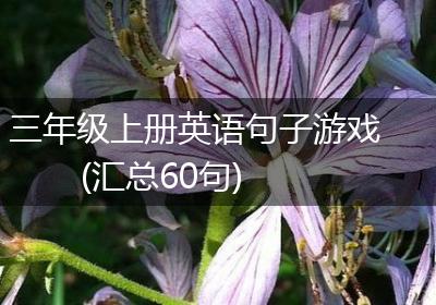 三年级上册英语句子游戏(汇总60句)