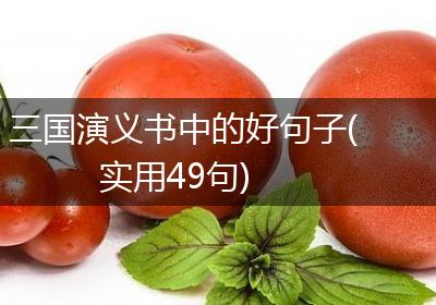 三国演义书中的好句子(实用49句)