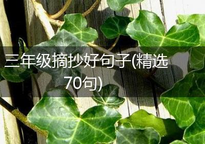 三年级摘抄好句子(精选70句)