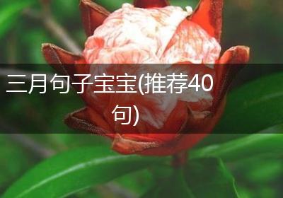 三月句子宝宝(推荐40句)