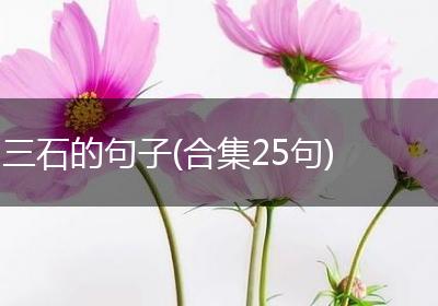三石的句子(合集25句)