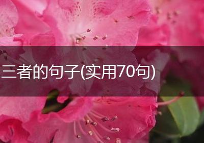三者的句子(实用70句)