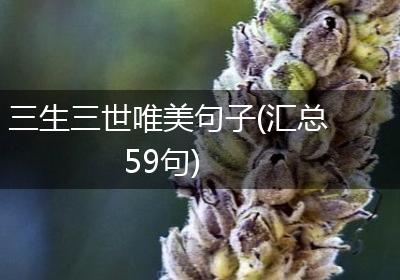 三生三世唯美句子(汇总59句)