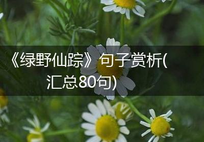 《绿野仙踪》句子赏析(汇总80句)