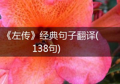 《左传》经典句子翻译(138句)