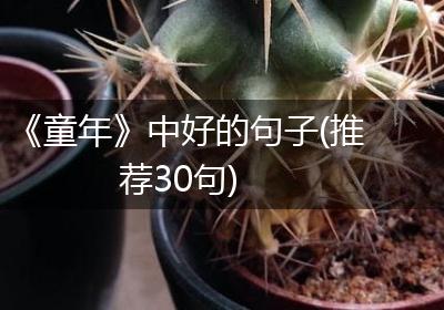 《童年》中好的句子(推荐30句)