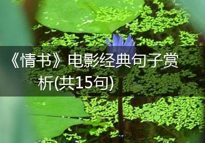 《情书》电影经典句子赏析(共15句)