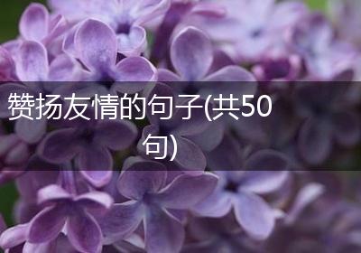 赞扬友情的句子(共50句)