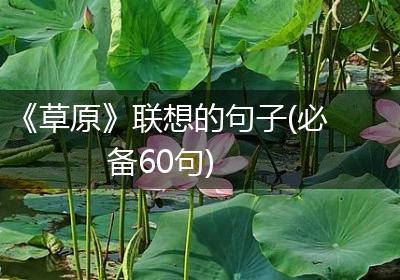 《草原》联想的句子(必备60句)