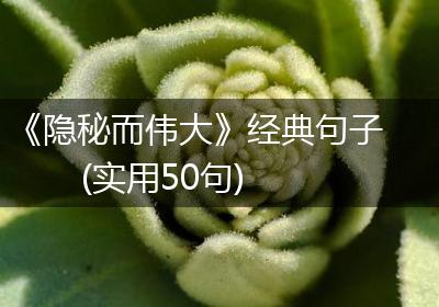 《隐秘而伟大》经典句子(实用50句)