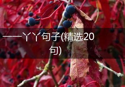 一一丫丫句子(精选20句)
