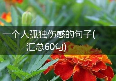 一个人孤独伤感的句子(汇总60句)