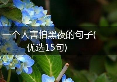 一个人害怕黑夜的句子(优选15句)